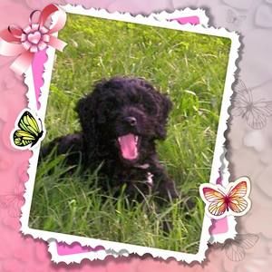 Meet your Posher, Doris